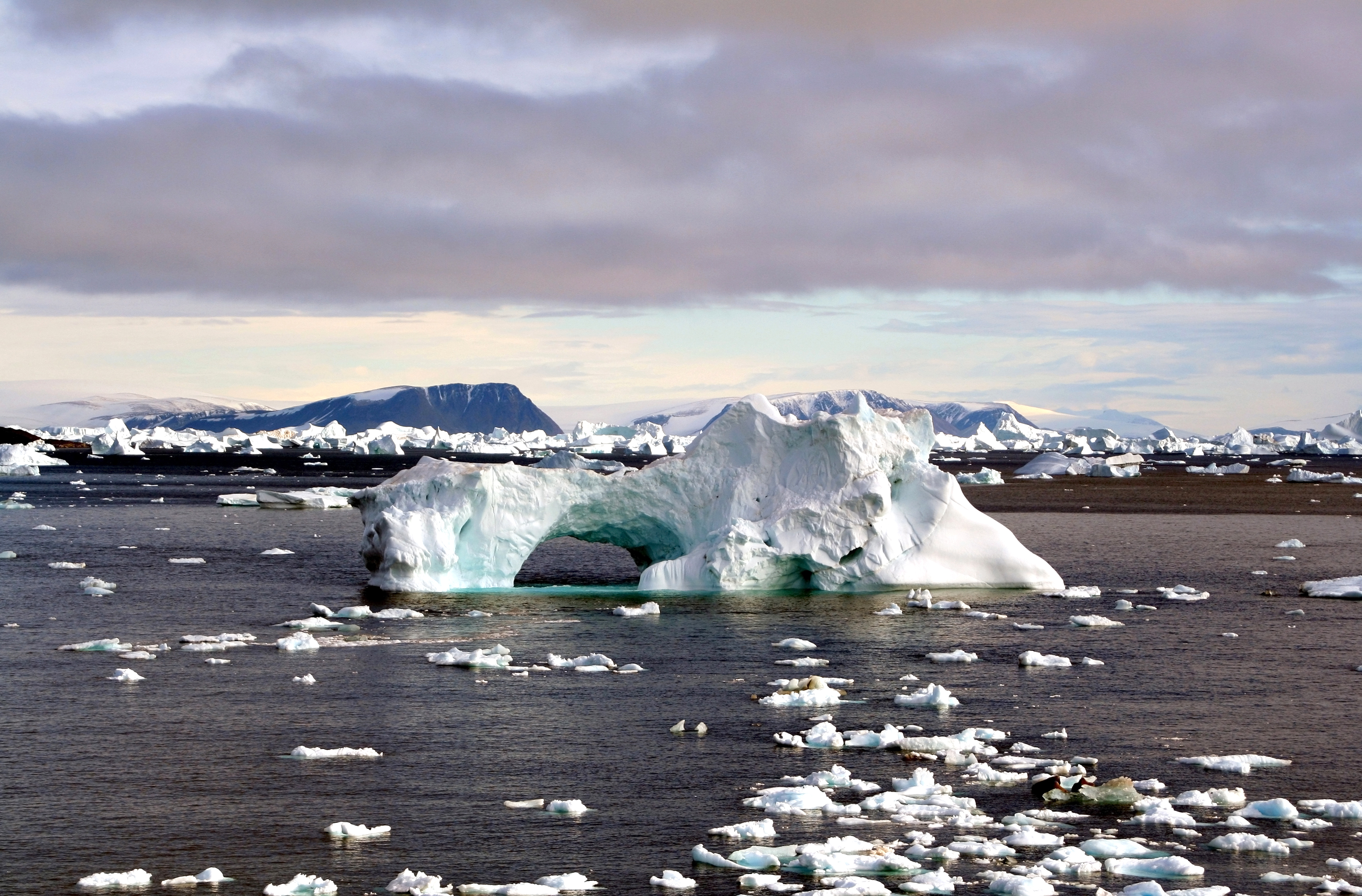 Iceberg with hole around Cape York, Greenland edit