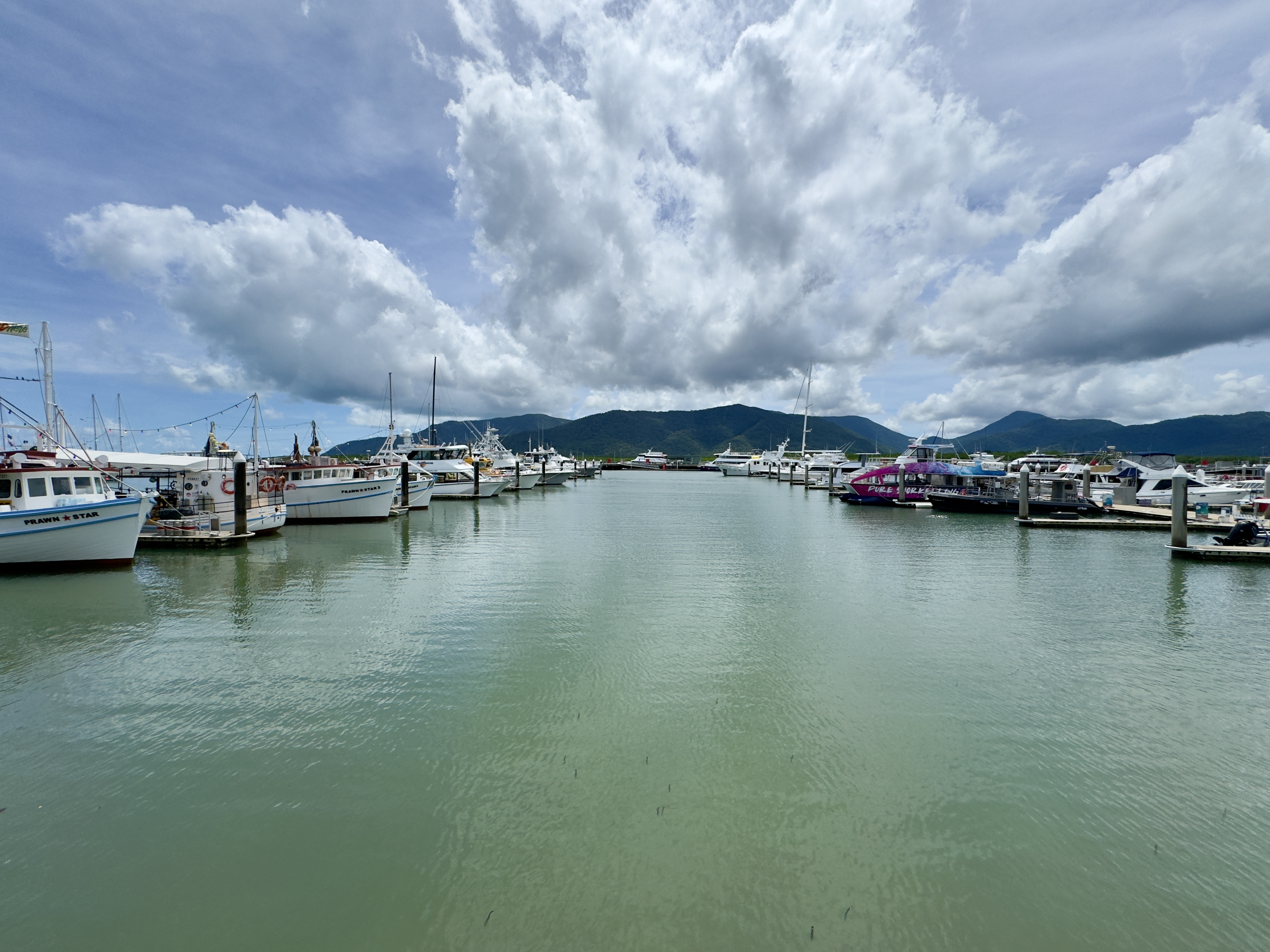 Cairns Marlin Marina, 2025