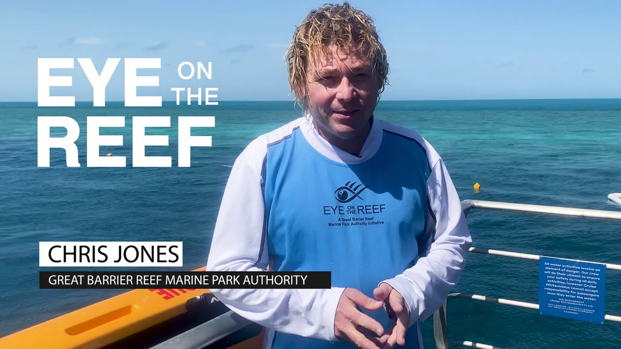 How tourism operators collect data on the Reef | Great Barrier Reef Marine Park Authority