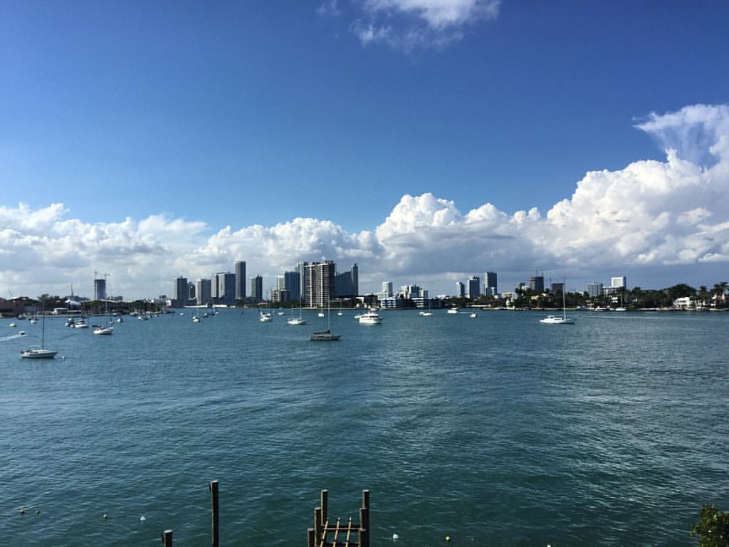 My current situation. #Miamibeach #miami #florida #soflo #mycity #beautiful #greatday #downtown #yachts #water