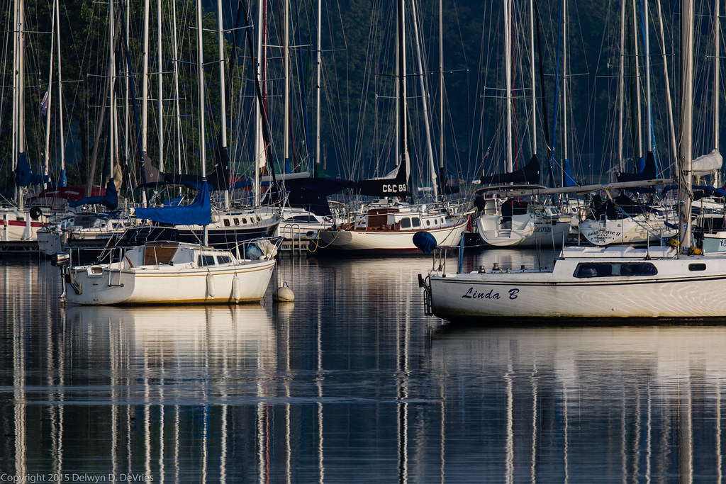 sailboat masts in the early light