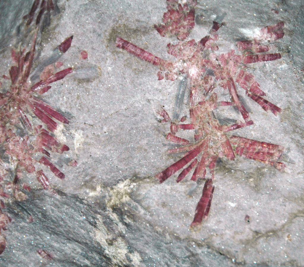 Lithia pegmatite with rubellite tourmaline in lepidolite mica matrix (Pala Pegmatite, Early Cretaceous, 104-10