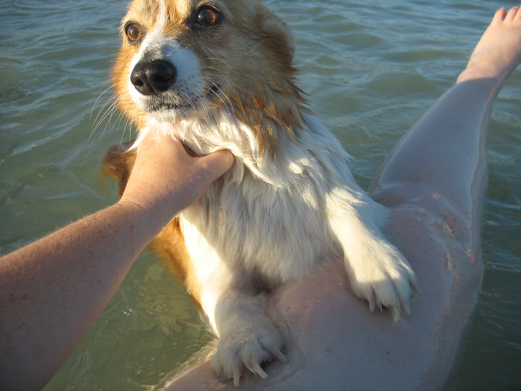 Shiloh using Mommy as a life raft