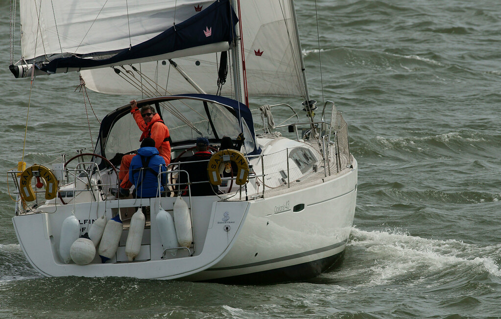 'Sailfin'